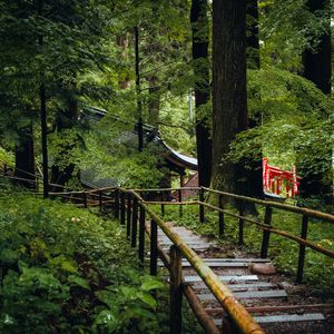 Preview wallpaper bridge, trail, trees, roof, building, nature