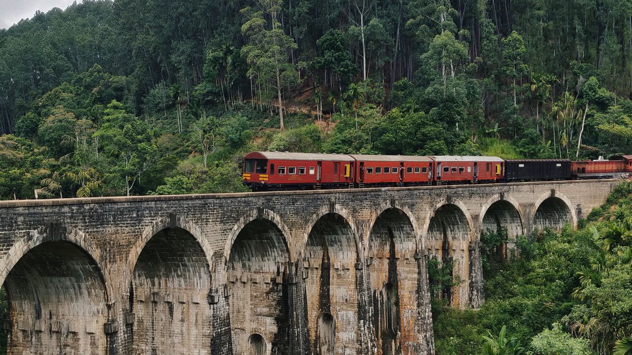 Wallpaper bridge, train, nature, forest