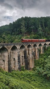 Preview wallpaper bridge, train, nature, forest