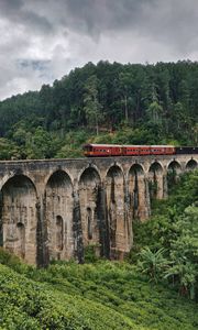 Preview wallpaper bridge, train, nature, forest