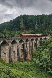 Preview wallpaper bridge, train, nature, forest