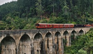 Preview wallpaper bridge, train, nature, forest