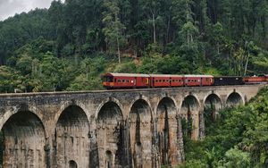 Preview wallpaper bridge, train, nature, forest