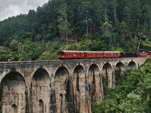 Preview wallpaper bridge, train, nature, forest