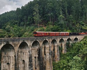 Preview wallpaper bridge, train, nature, forest