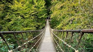 Preview wallpaper bridge, trees, branches