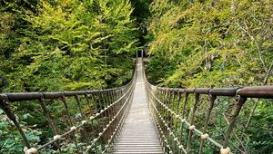 Preview wallpaper bridge, trees, branches