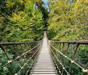 Preview wallpaper bridge, trees, branches