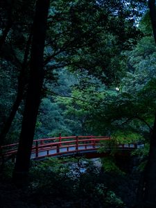 Preview wallpaper bridge, trees, branches, bushes