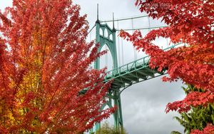 Preview wallpaper bridge, trees, bright, autumn, cathedral park, portland, oregon