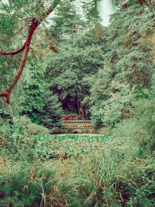 Preview wallpaper bridge, trees, bushes, grass, greens, nature