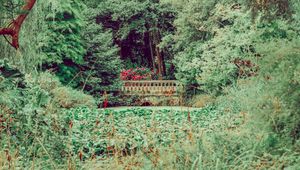 Preview wallpaper bridge, trees, bushes, grass, greens, nature