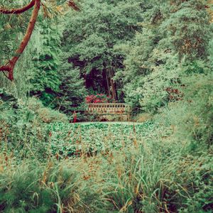 Preview wallpaper bridge, trees, bushes, grass, greens, nature