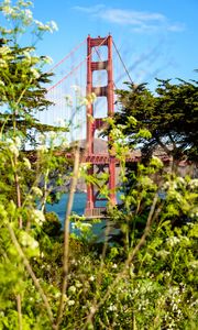 Preview wallpaper bridge, trees, bushes, nature, view