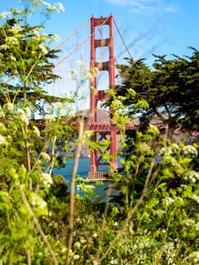 Preview wallpaper bridge, trees, bushes, nature, view