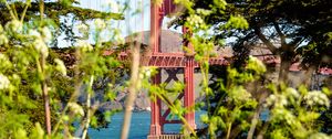 Preview wallpaper bridge, trees, bushes, nature, view