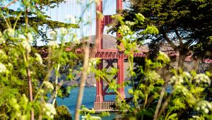 Preview wallpaper bridge, trees, bushes, nature, view