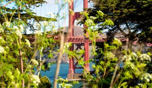 Preview wallpaper bridge, trees, bushes, nature, view