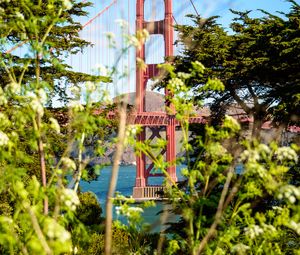 Preview wallpaper bridge, trees, bushes, nature, view