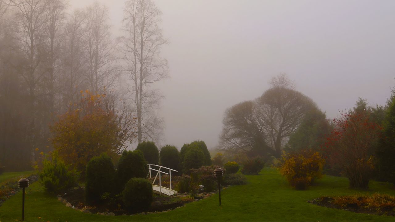 Wallpaper bridge, trees, fog, autumn