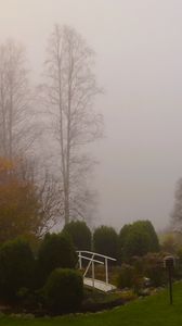 Preview wallpaper bridge, trees, fog, autumn