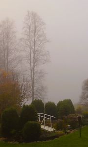 Preview wallpaper bridge, trees, fog, autumn