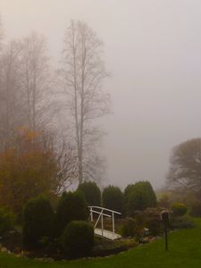 Preview wallpaper bridge, trees, fog, autumn