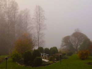 Preview wallpaper bridge, trees, fog, autumn