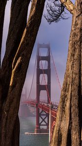 Preview wallpaper bridge, trees, fog, view