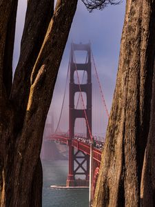 Preview wallpaper bridge, trees, fog, view