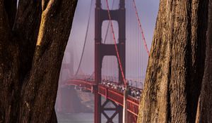 Preview wallpaper bridge, trees, fog, view