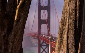 Preview wallpaper bridge, trees, fog, view