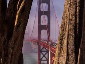 Preview wallpaper bridge, trees, fog, view