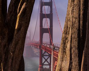 Preview wallpaper bridge, trees, fog, view