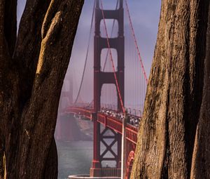 Preview wallpaper bridge, trees, fog, view