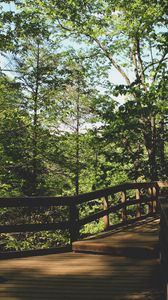 Preview wallpaper bridge, trees, foliage