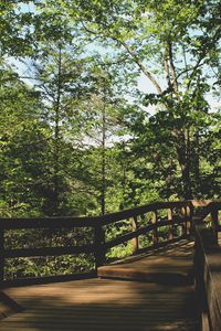 Preview wallpaper bridge, trees, foliage