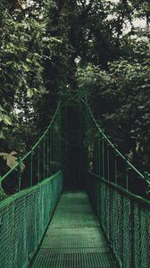 Preview wallpaper bridge, trees, foliage