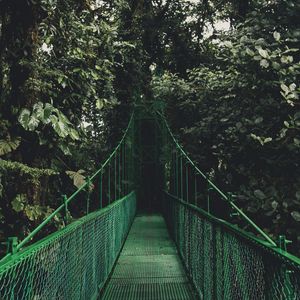 Preview wallpaper bridge, trees, foliage