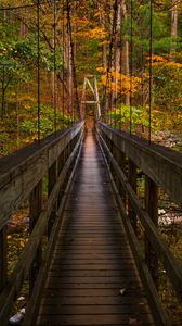 Preview wallpaper bridge, trees, foliage, forest, nature
