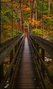 Preview wallpaper bridge, trees, foliage, forest, nature