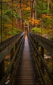 Preview wallpaper bridge, trees, foliage, forest, nature