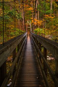 Preview wallpaper bridge, trees, foliage, forest, nature