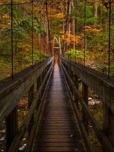 Preview wallpaper bridge, trees, foliage, forest, nature