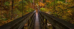 Preview wallpaper bridge, trees, foliage, forest, nature
