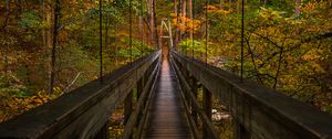 Preview wallpaper bridge, trees, foliage, forest, nature