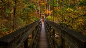Preview wallpaper bridge, trees, foliage, forest, nature