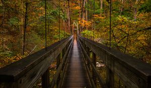 Preview wallpaper bridge, trees, foliage, forest, nature