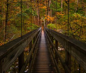 Preview wallpaper bridge, trees, foliage, forest, nature