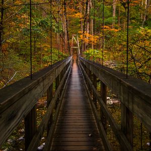 Preview wallpaper bridge, trees, foliage, forest, nature